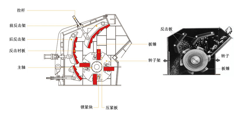 反击式小蝌蚪视频免费观看网站结构